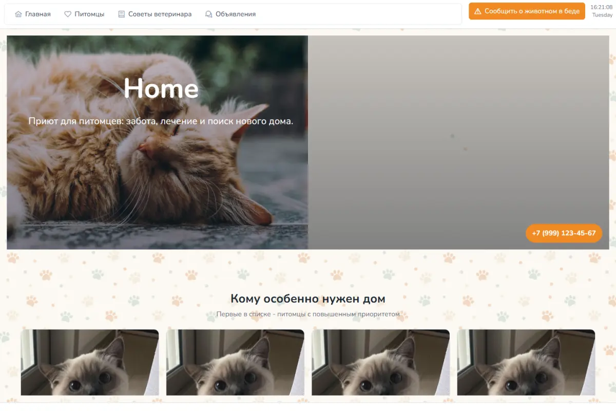 Главная страница концепта Shelter